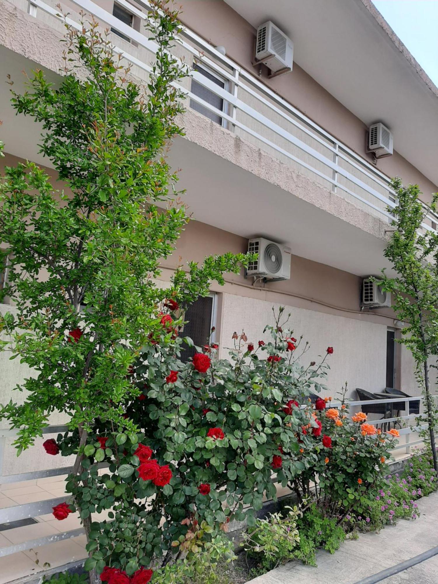 Studios Mona Άγιος Γεώργιος Εξωτερικό φωτογραφία